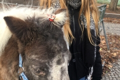 984399FD-FB20-4C82-A83A-469A693D0EA8